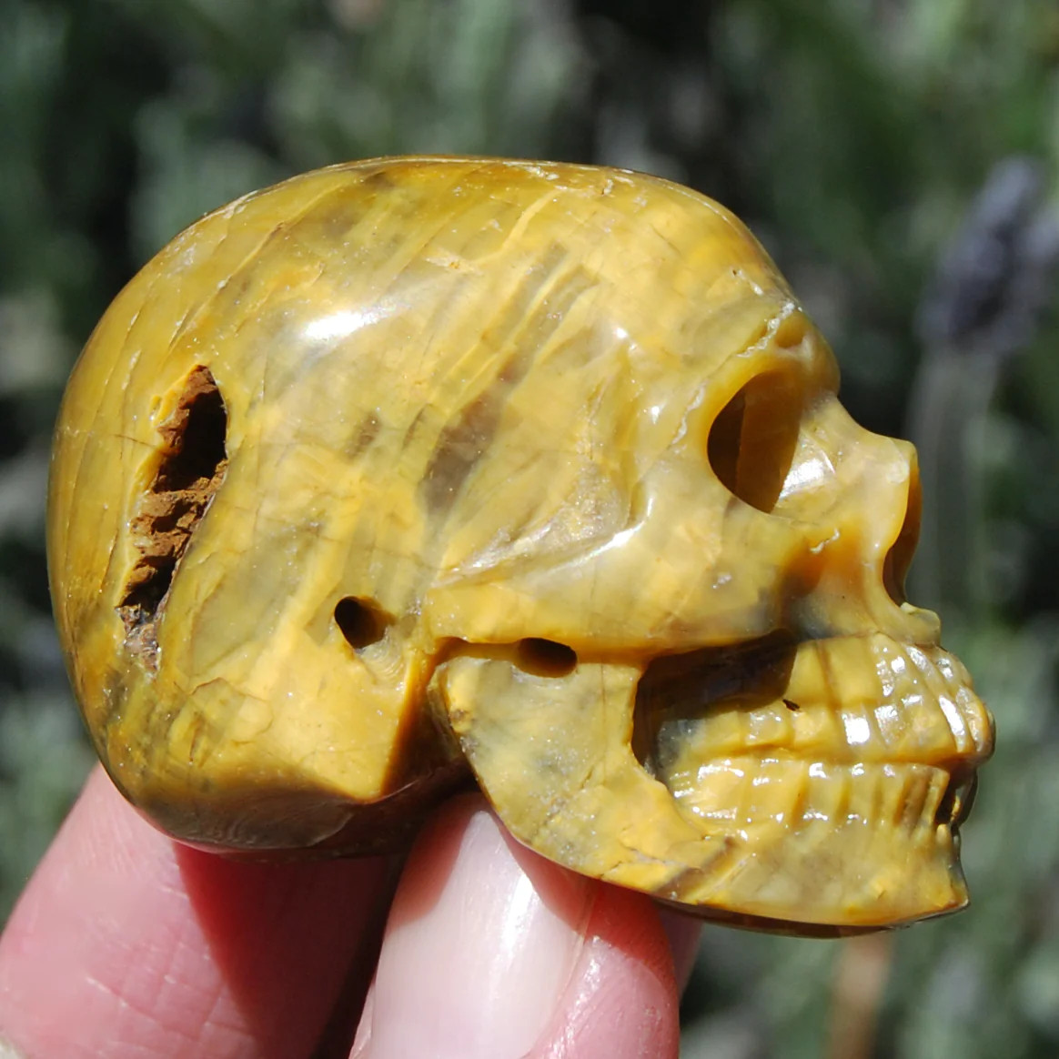 2in Flashy Nellite Pietersite Carved Crystal Skull, Realistic Nielit Gemstone Ca