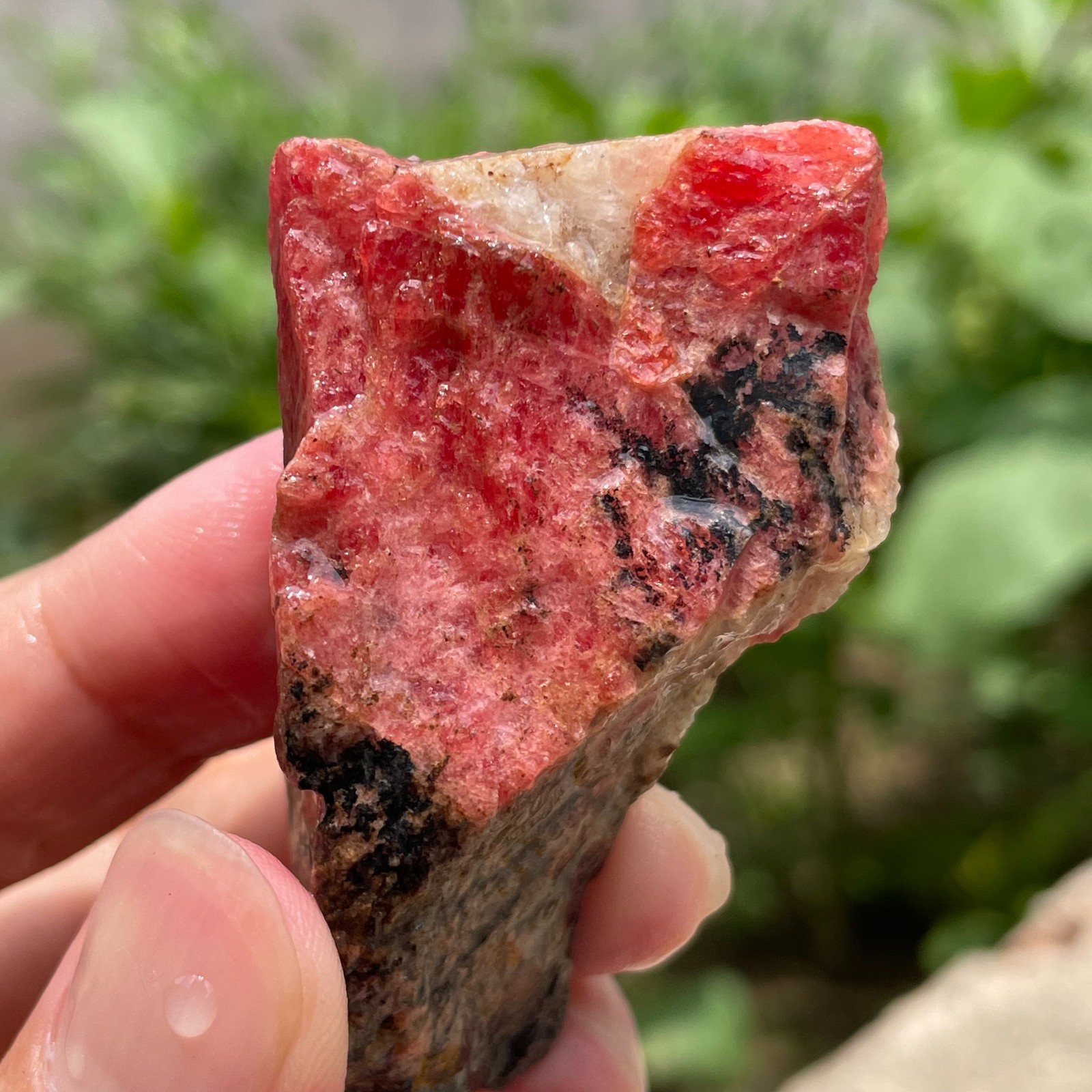 69g Small Raw Ore Red Black Rhodonite Quartz Gemstone Mineral Specimen