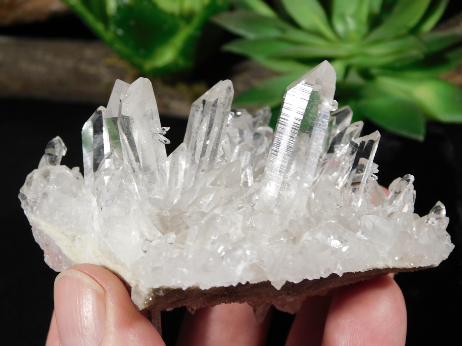 VERY TRANSLUCENT Quartz Crystal Cluster Collier Creek ARKANSAS 147gr