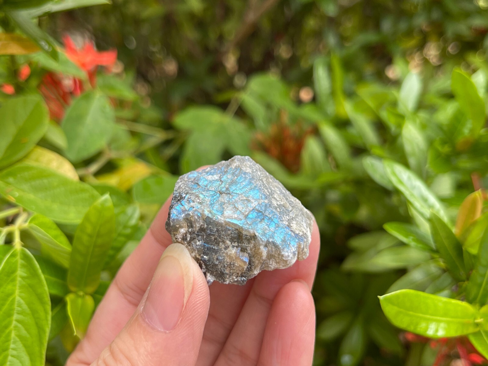 Grade A++ Labradorite Raw Natural Stone, 1″-2″ Rough Labradorite, Wholesale Lot