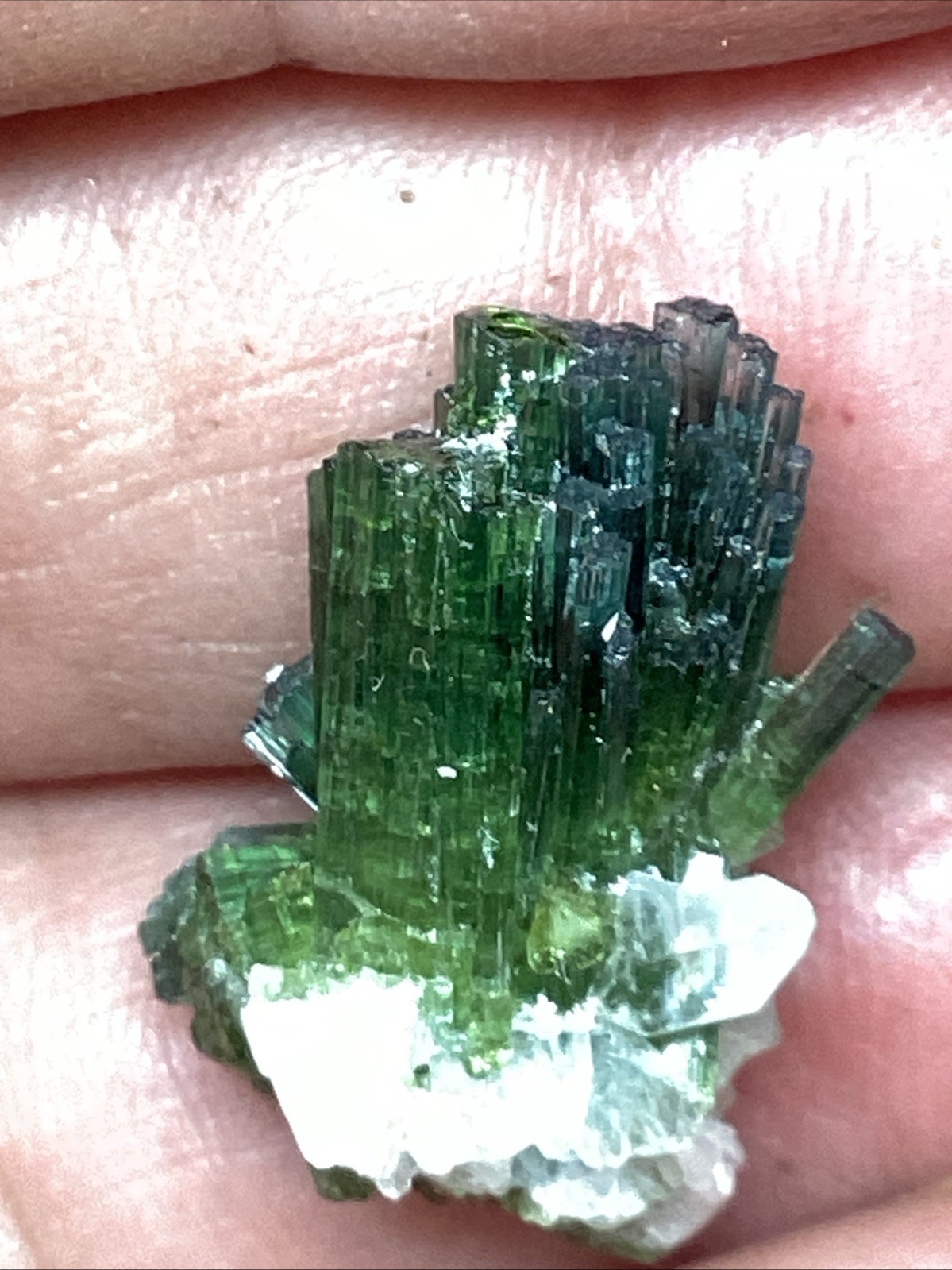 Spray Of Indicolite/ Green Tourmaline Crystals PAMIR Afghanistan #92