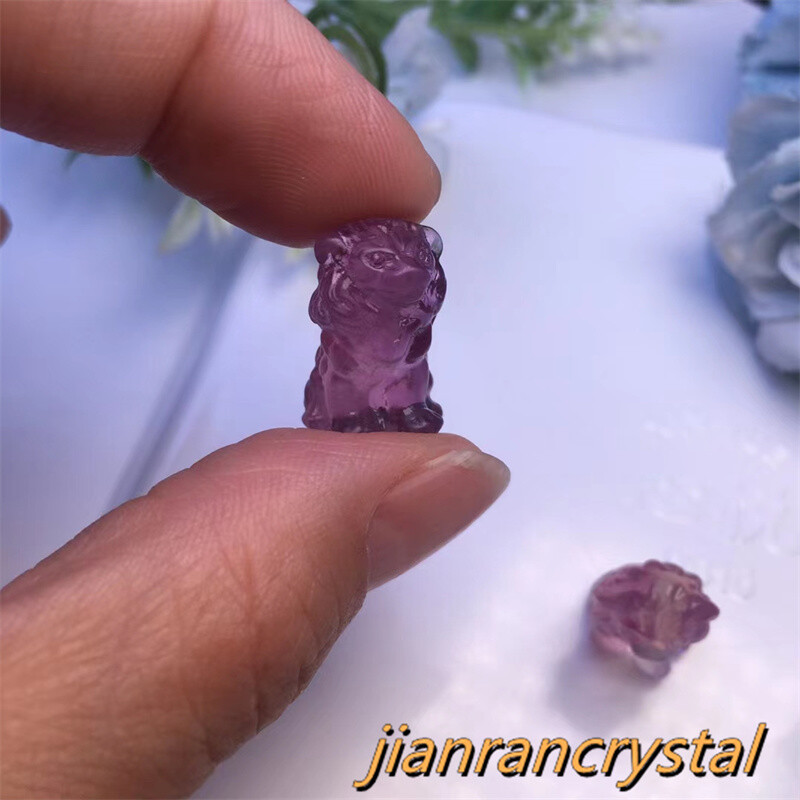 5pcs Natural Fluorite Quartz Hand Carved Lion Crystal Skull Reiki Healing Gift