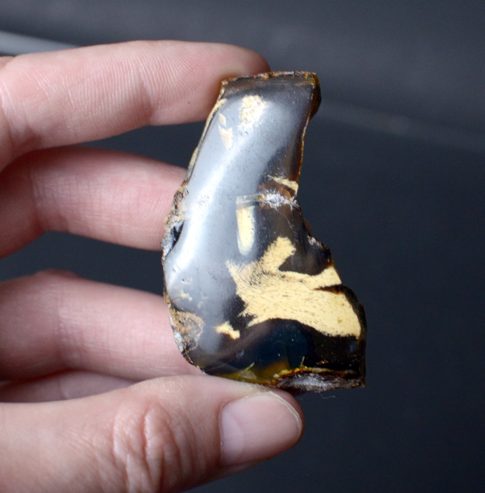 Polished Blue Amber | UV Reactive Amber Indonesia B116