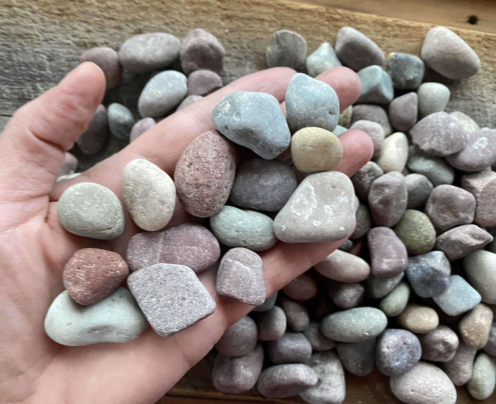 4 lbs Colorful Rainbow stones 1″ terrarium rocks landscape Natural Stones