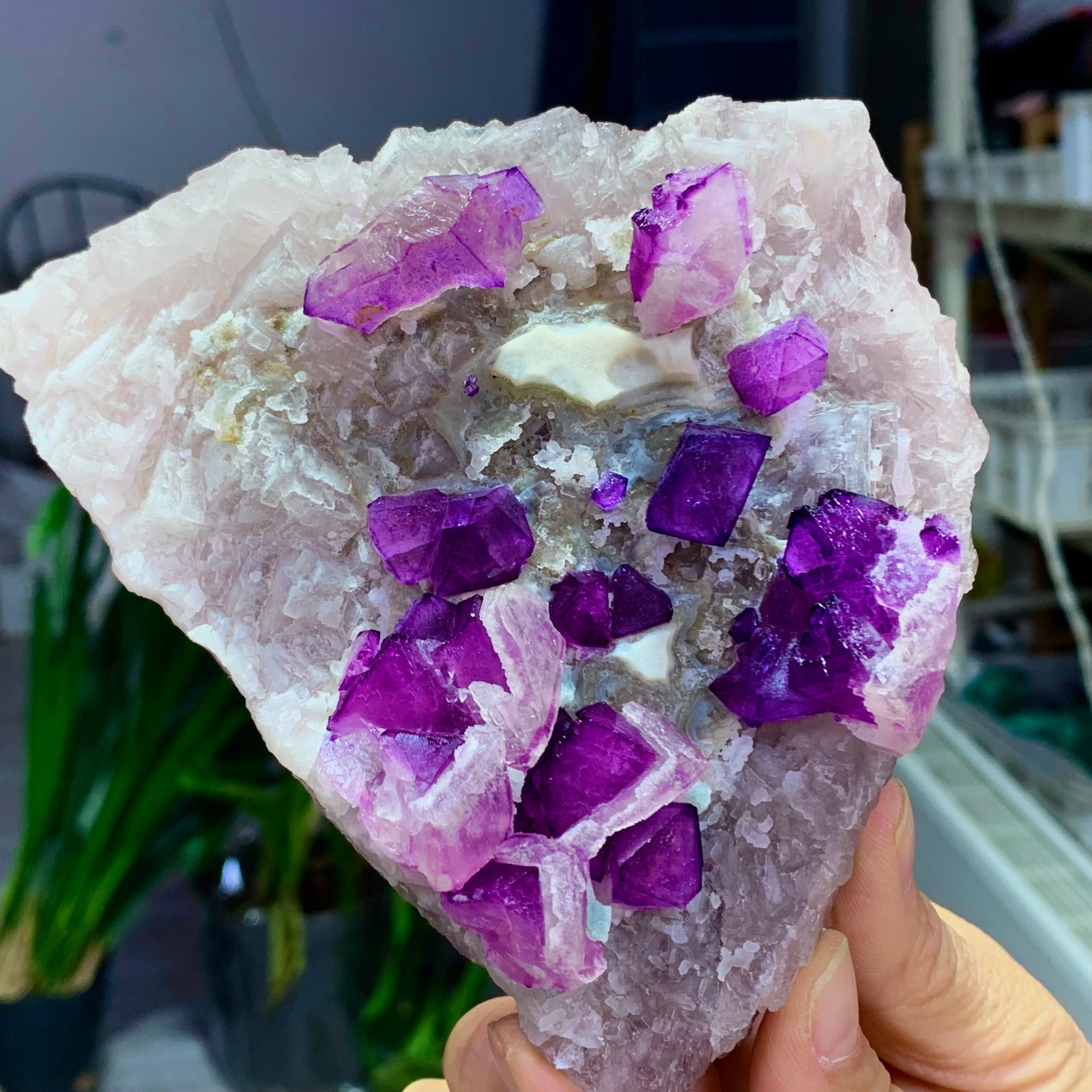 1.76LB Natural purple cubic fluorite mineral crystal sample/China