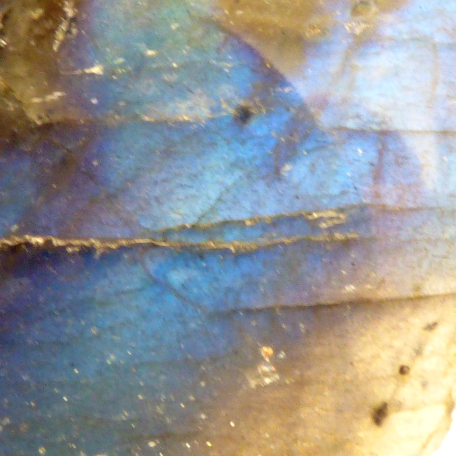 Labradorite Slice Blue Flash Iridescent Lustre Semi Polished Piece 5.5cm 40g