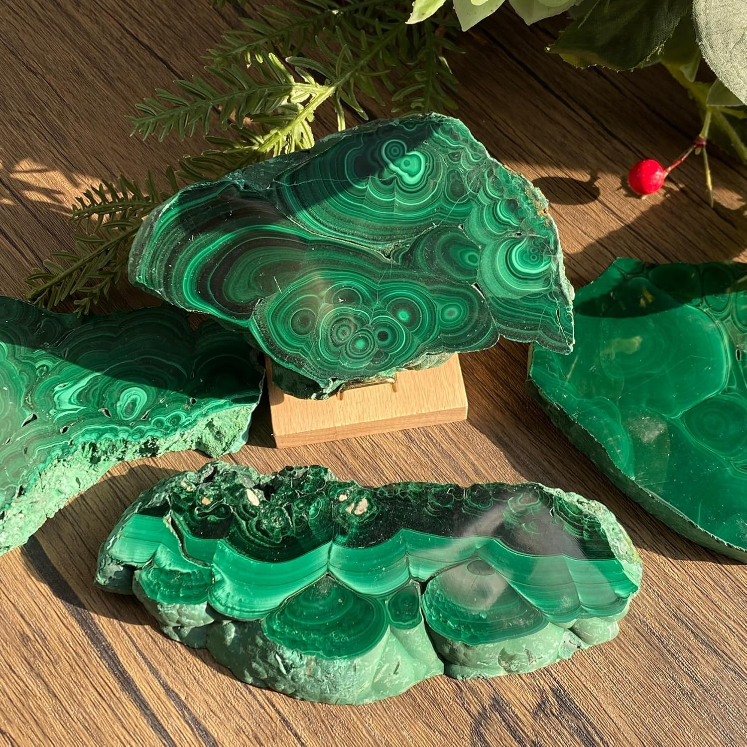 Natural Malachite Slice 50-100g (0.11-0.22lb), Polished Malachite Slab Healing C