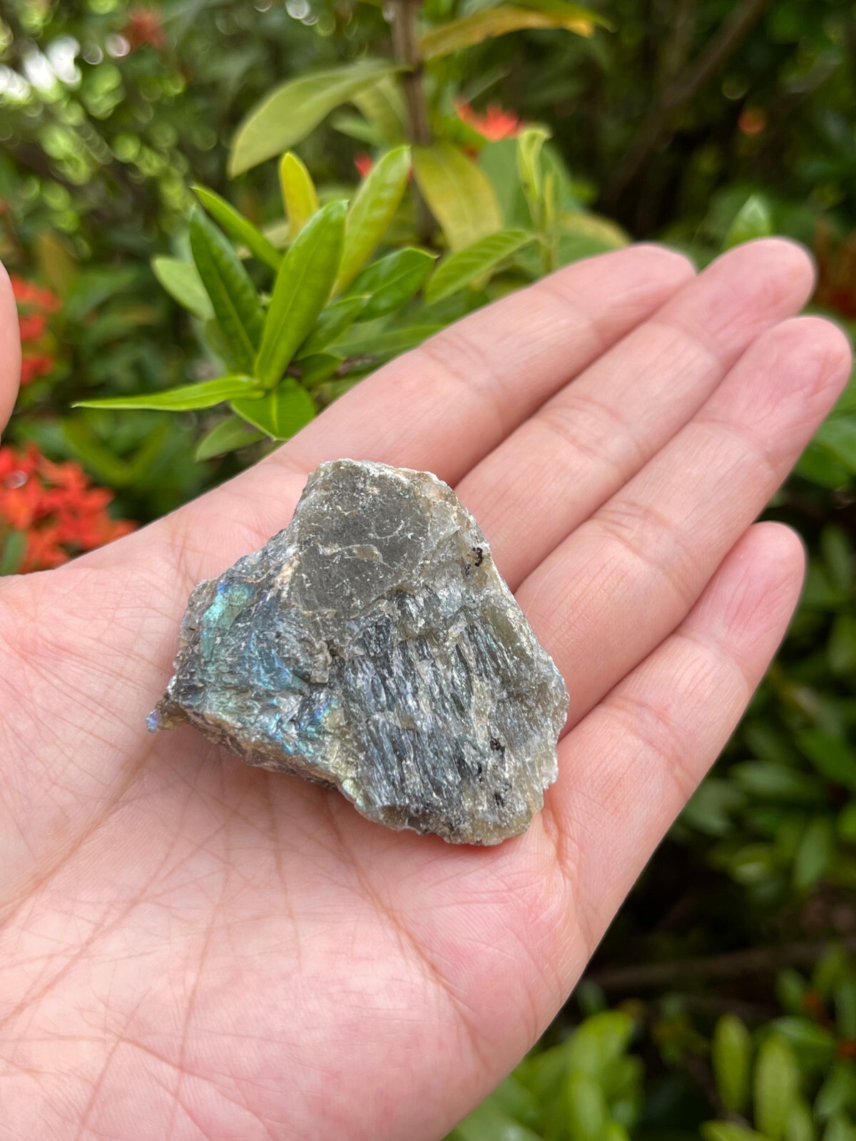 Grade A++ Labradorite Raw Natural Stone, 1″-2″ Rough Labradorite, Wholesale Lot