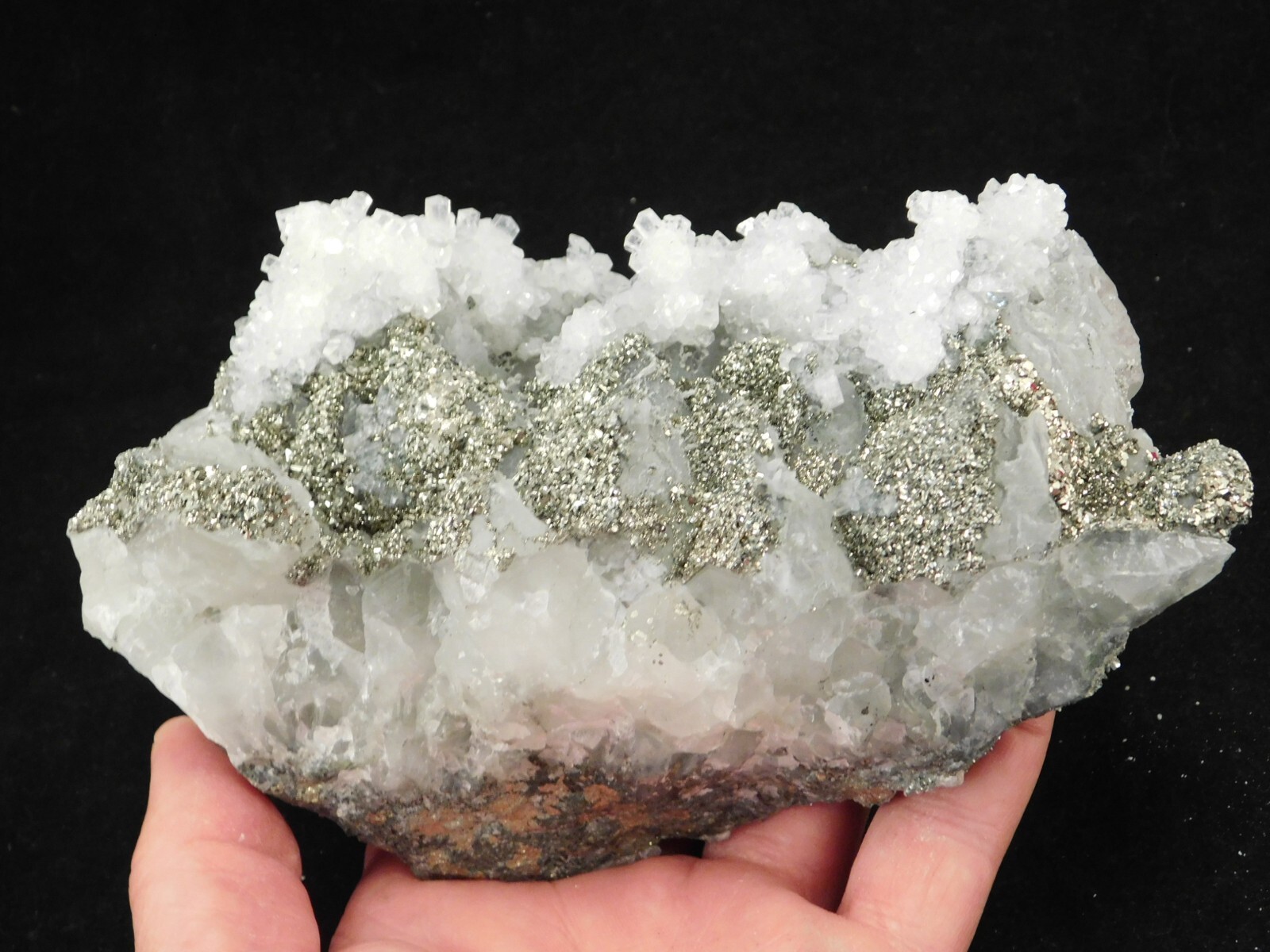 BIG! Pyrite Crystal Cluster on DOGTOOTH Calcite Crystals! From Mexico 1202gr