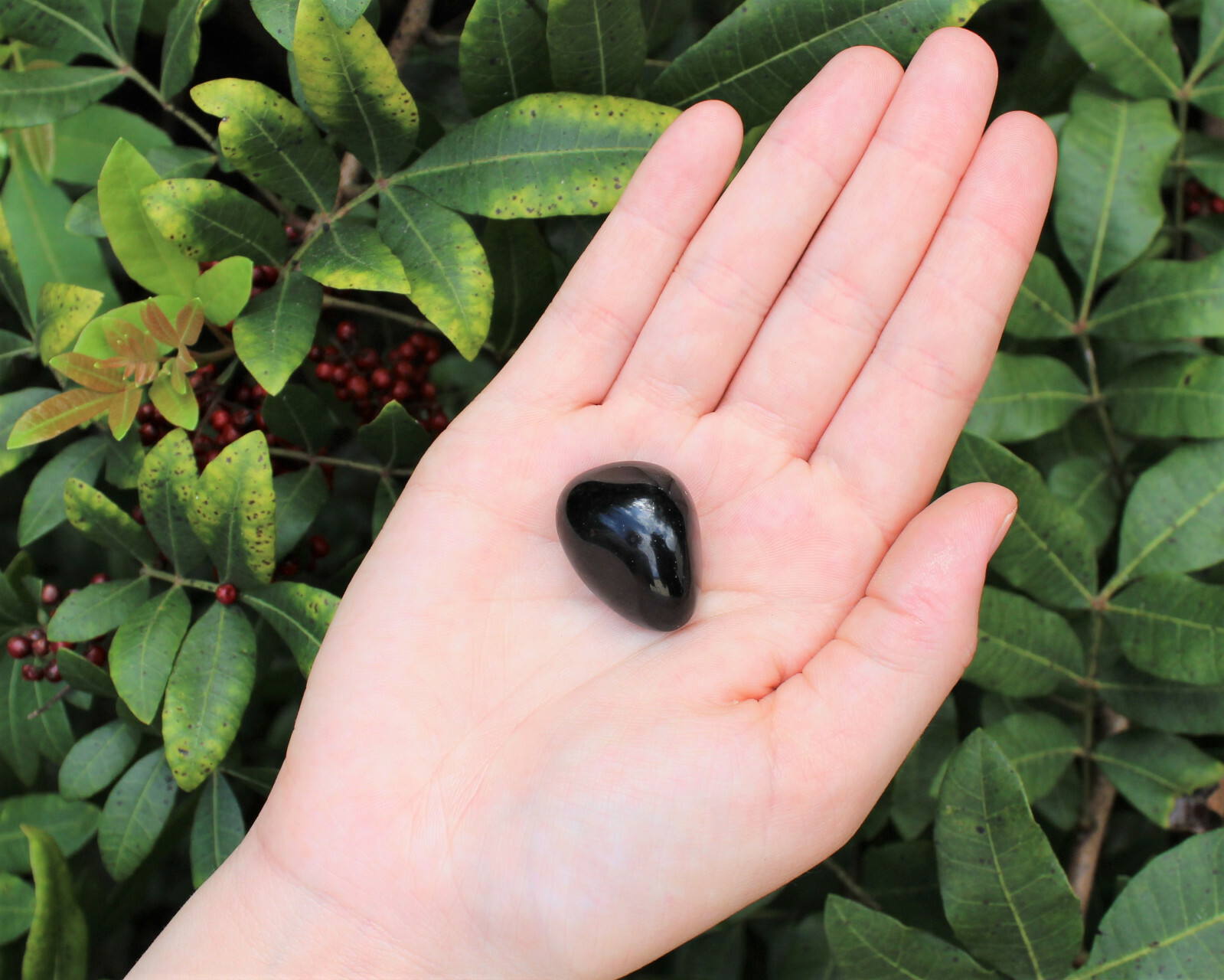 1/2 lb Bulk Lot: Black Obsidian Tumbled Stone (Crystal Healing Reiki) 8 oz