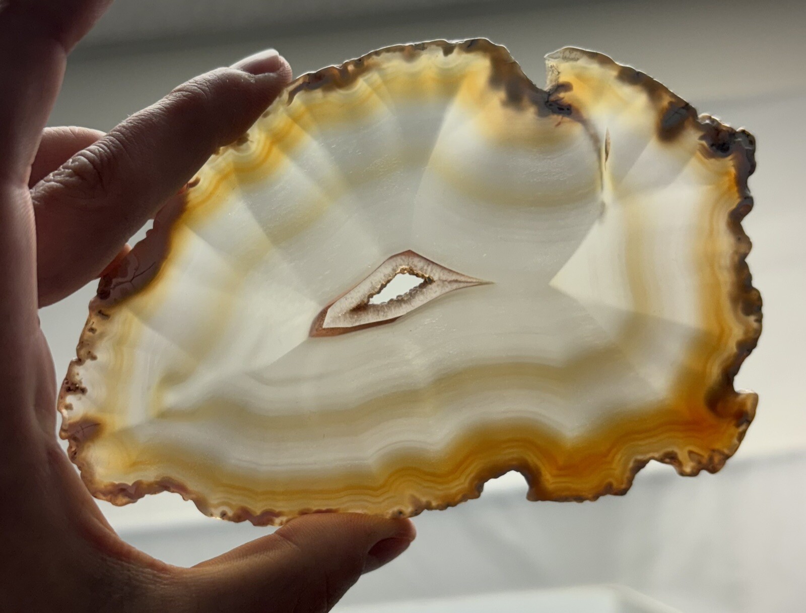 Natural Agate Slice Translucent Brazil Gold Yellow Clear Quartz