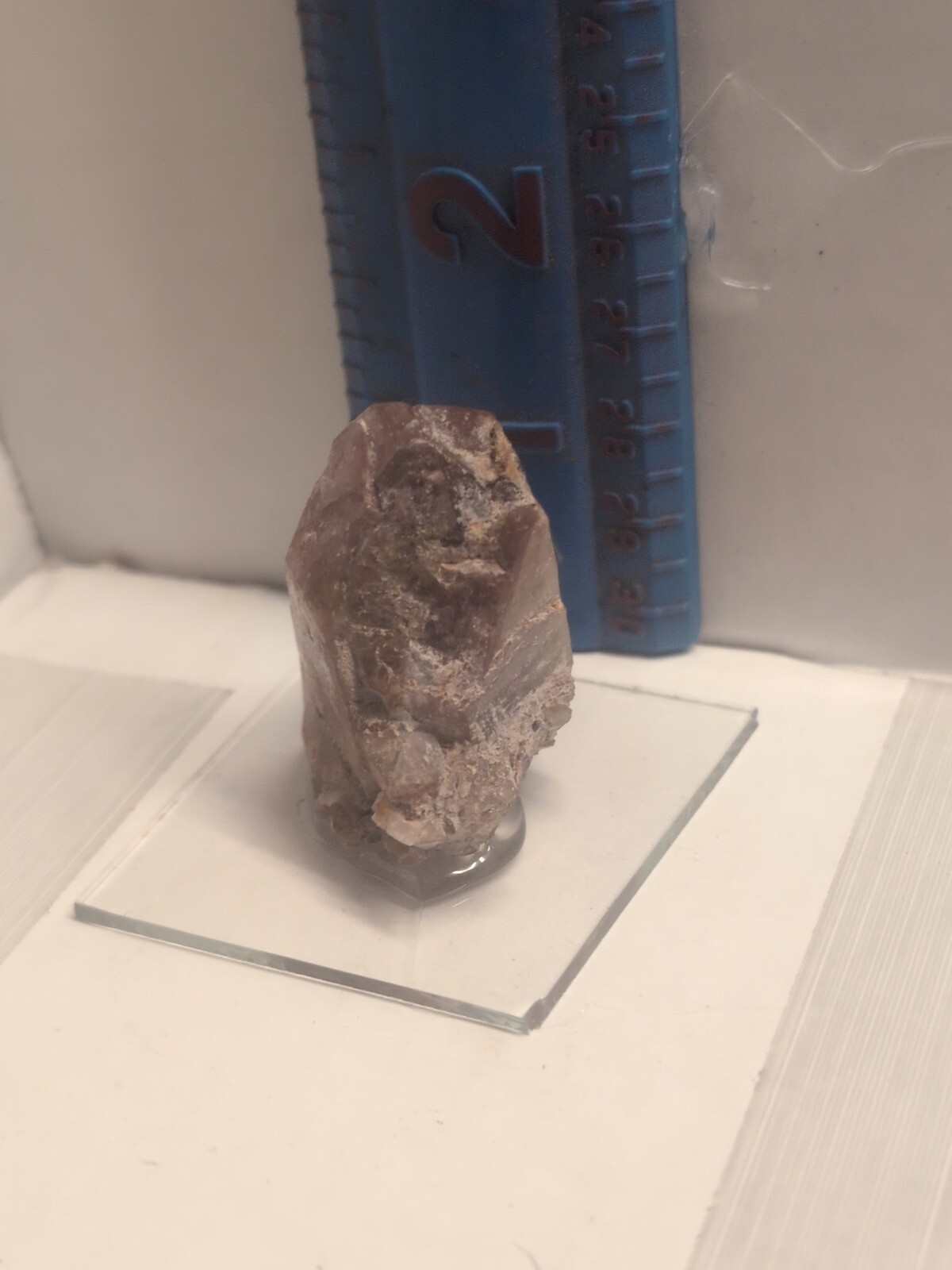 Rose Quartz Point Hand Dug Colorado United States Crystals Specimen Science