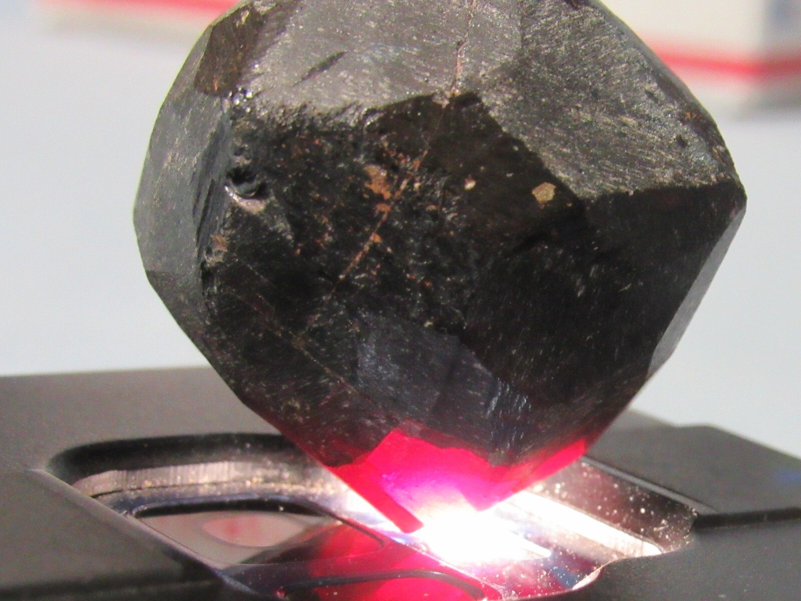 399ct gem quality translucent large natural terminated crystal Red Garnet