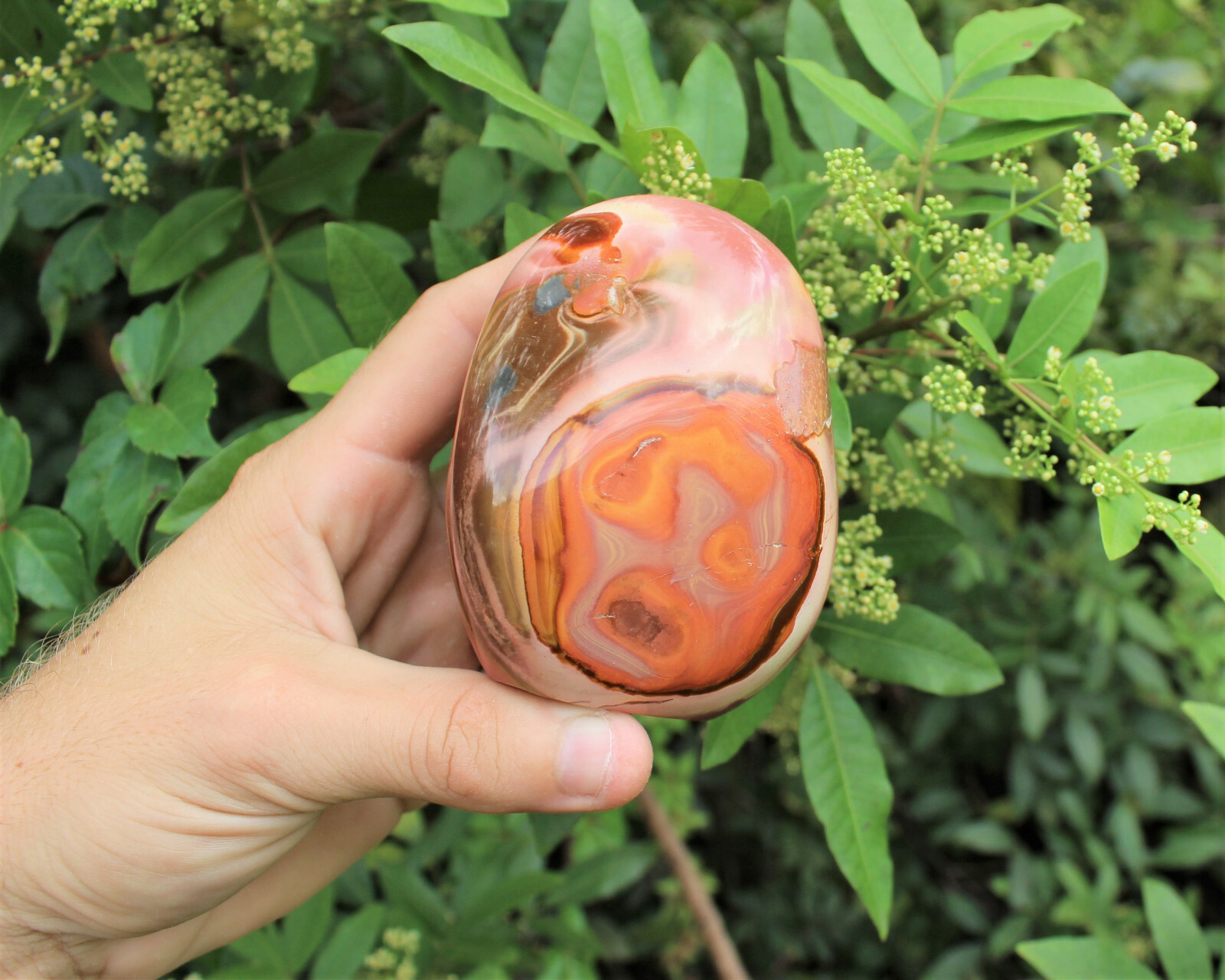 Polished Polychrome Jasper Freeform – Beautiful Free Standing Display Specimens