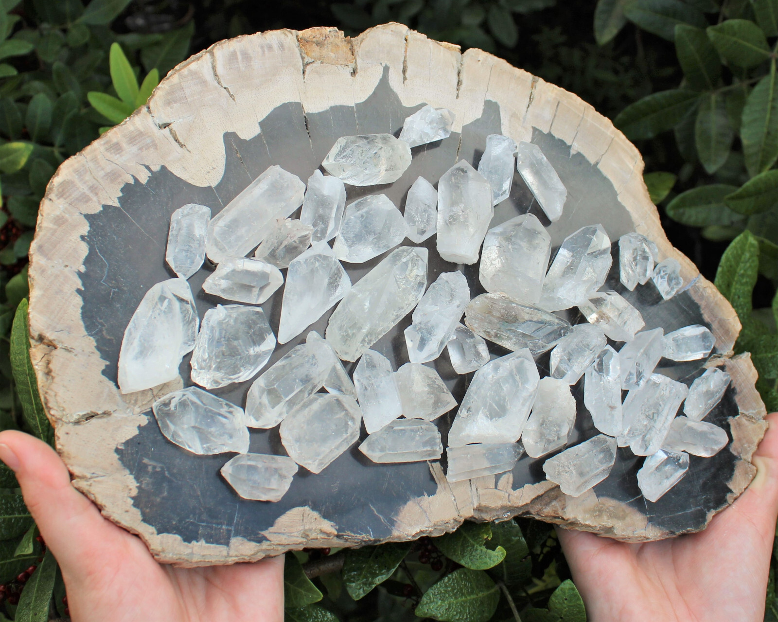1/2 lb Bulk Amethyst & Quartz Crystal Collection in Box, Natural Clear Points