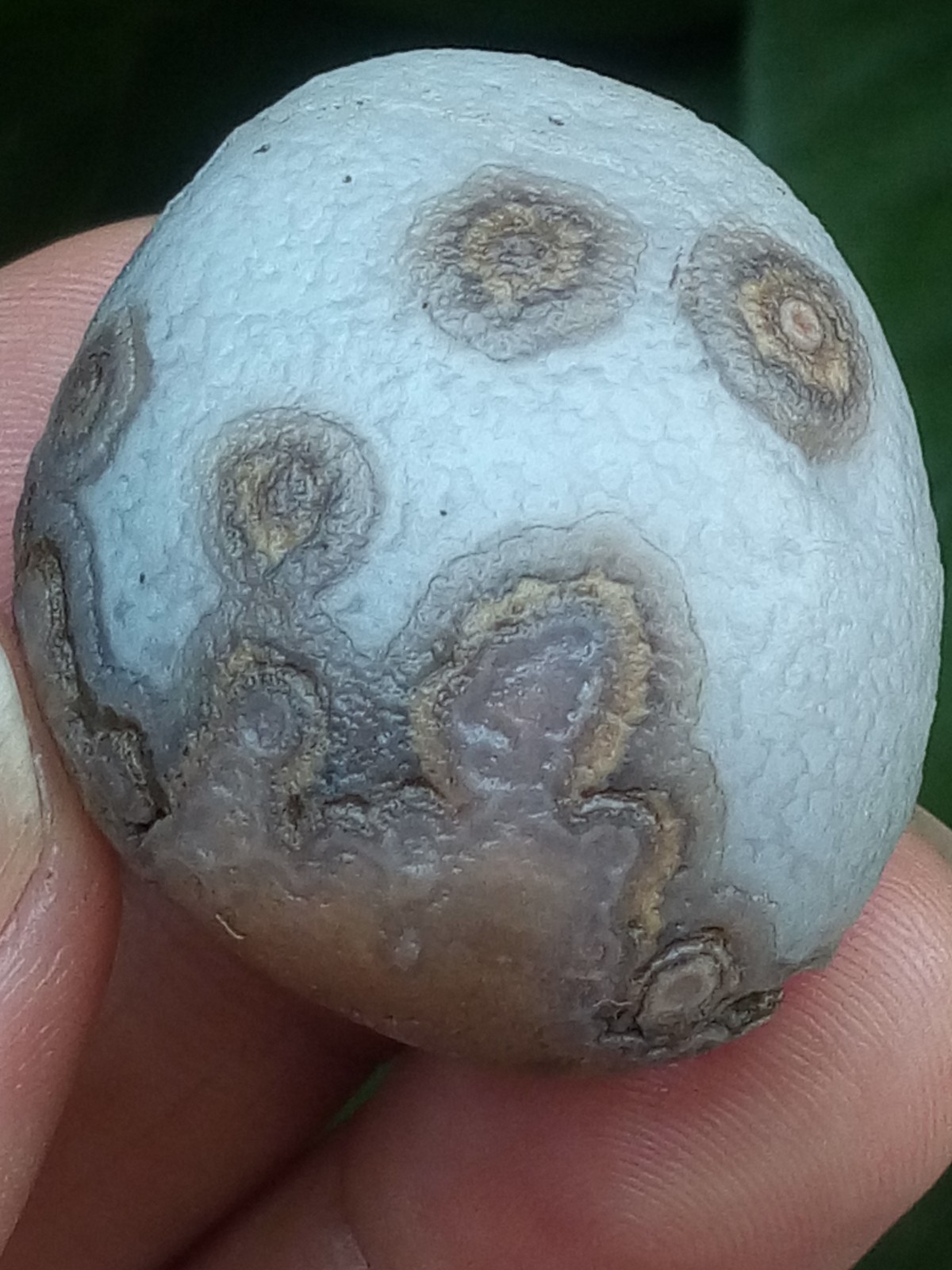 32mm Beautiful Natural agate Gobi agate eye agate stone collection