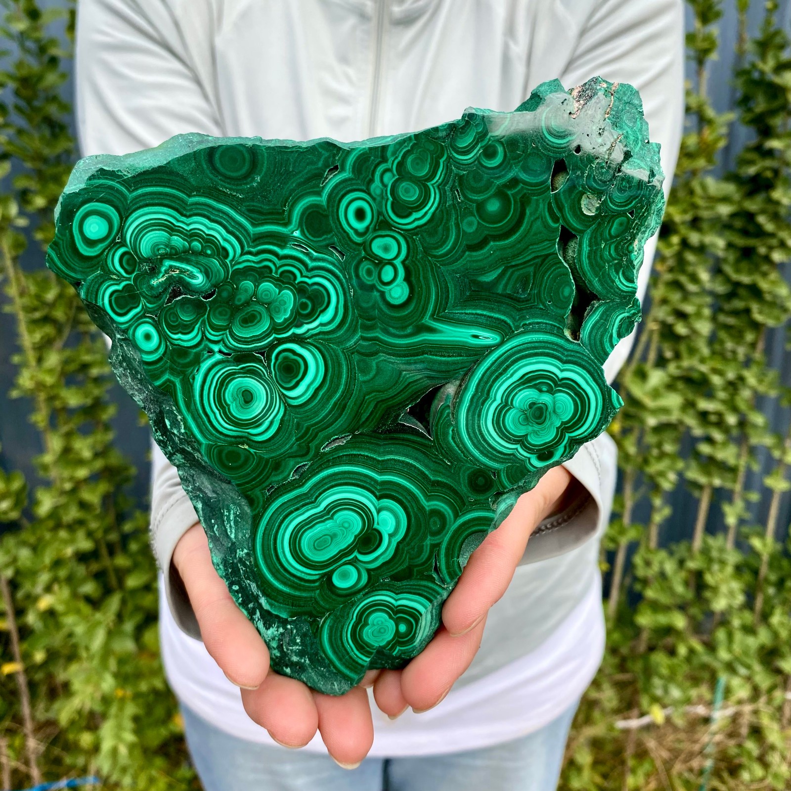 1.41LB Natural malachite slice quartz crystal luster mineral specimen