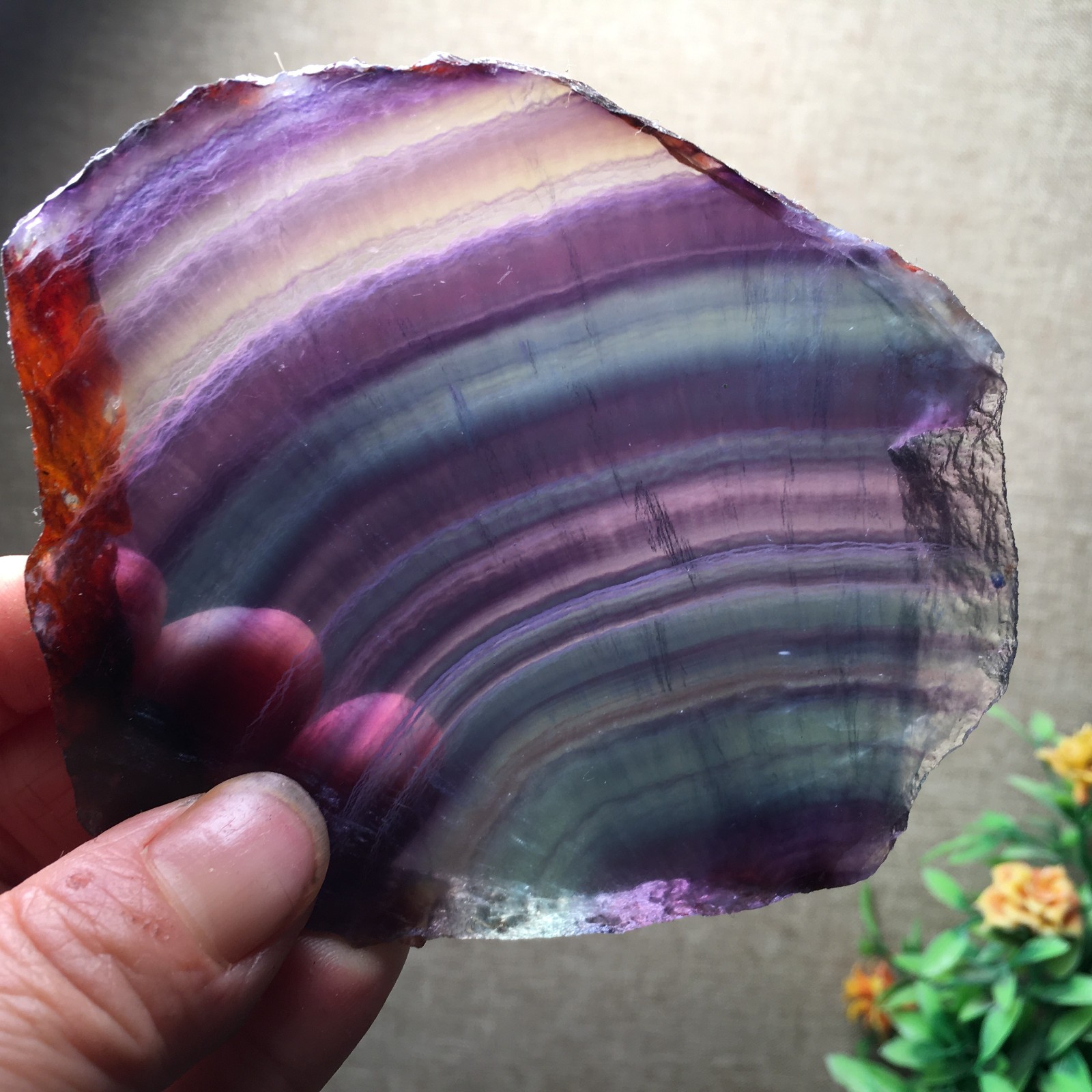 205g Natural Fluorite Crystal Rough stone specimens China fb1461