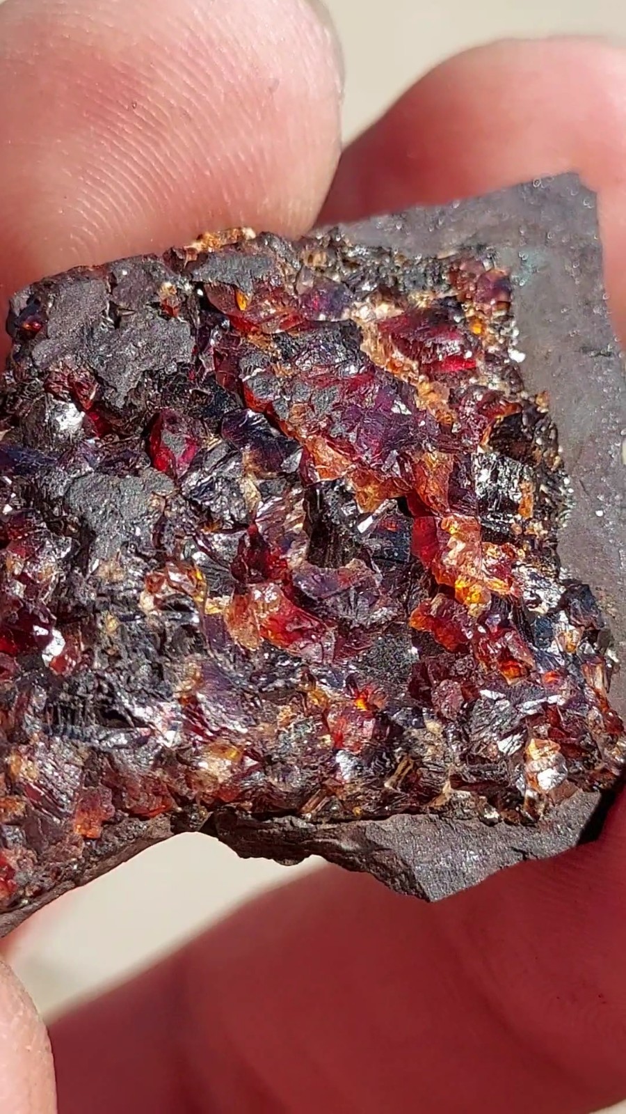 ULTRA RARE GEM RHODOCHROSITE ON MATRIX N’Chwaning I Mine, KMF, South Africa