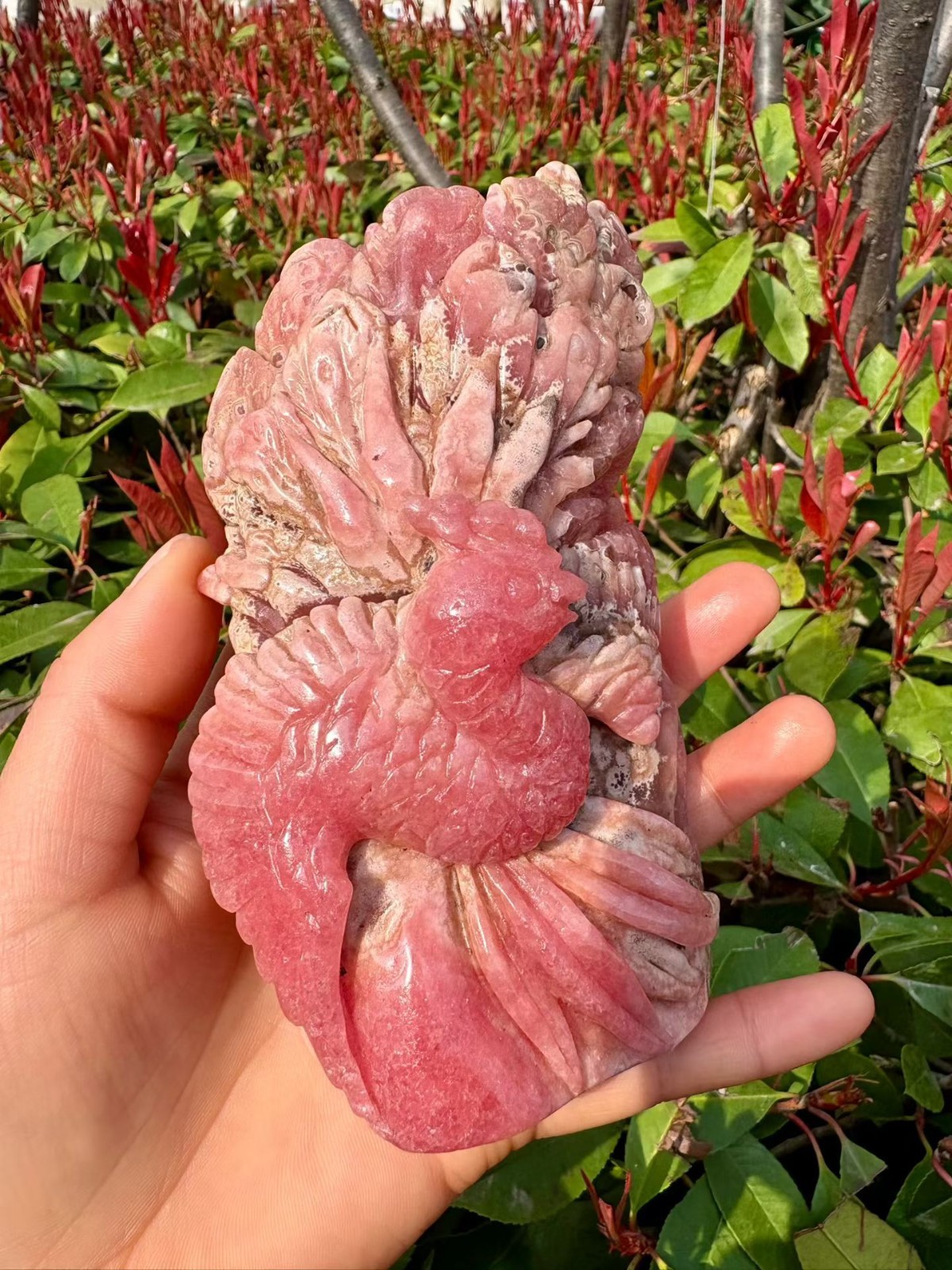 495g Natural Rhodochrosite Quartz Hand Carved phoenix Skull Crystal Reiki Decor