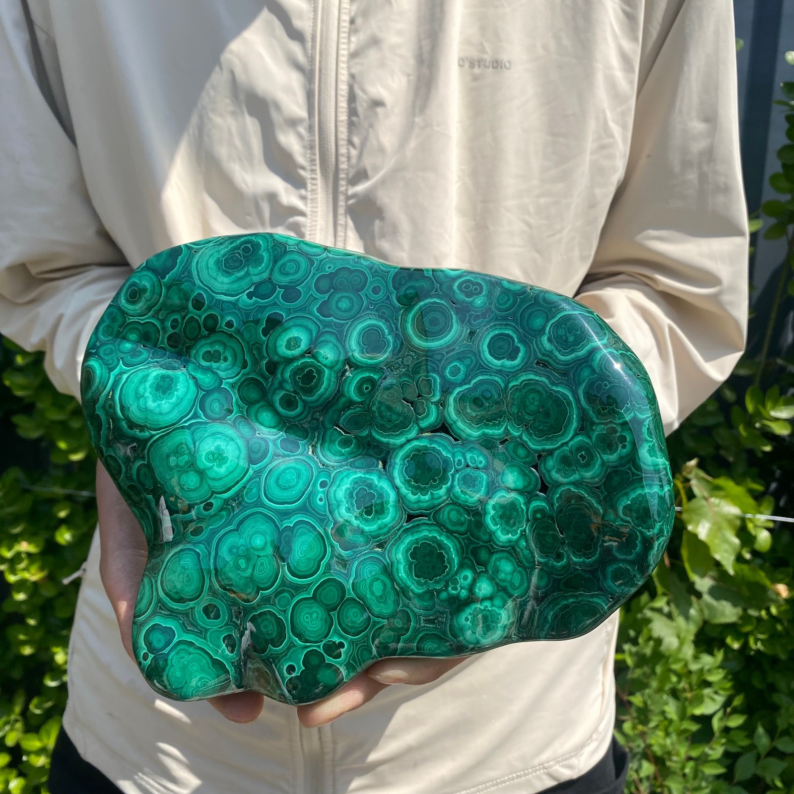 7.27LB Natural glossy Malachite transparent cluster rough mineral sample
