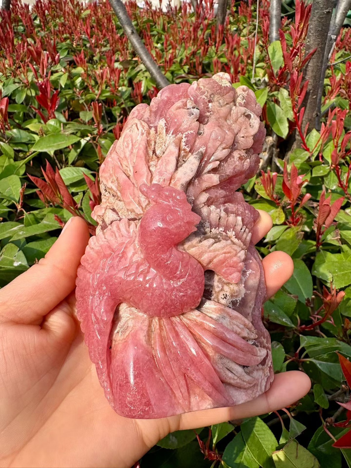 495g Natural Rhodochrosite Quartz Hand Carved phoenix Skull Crystal Reiki Decor