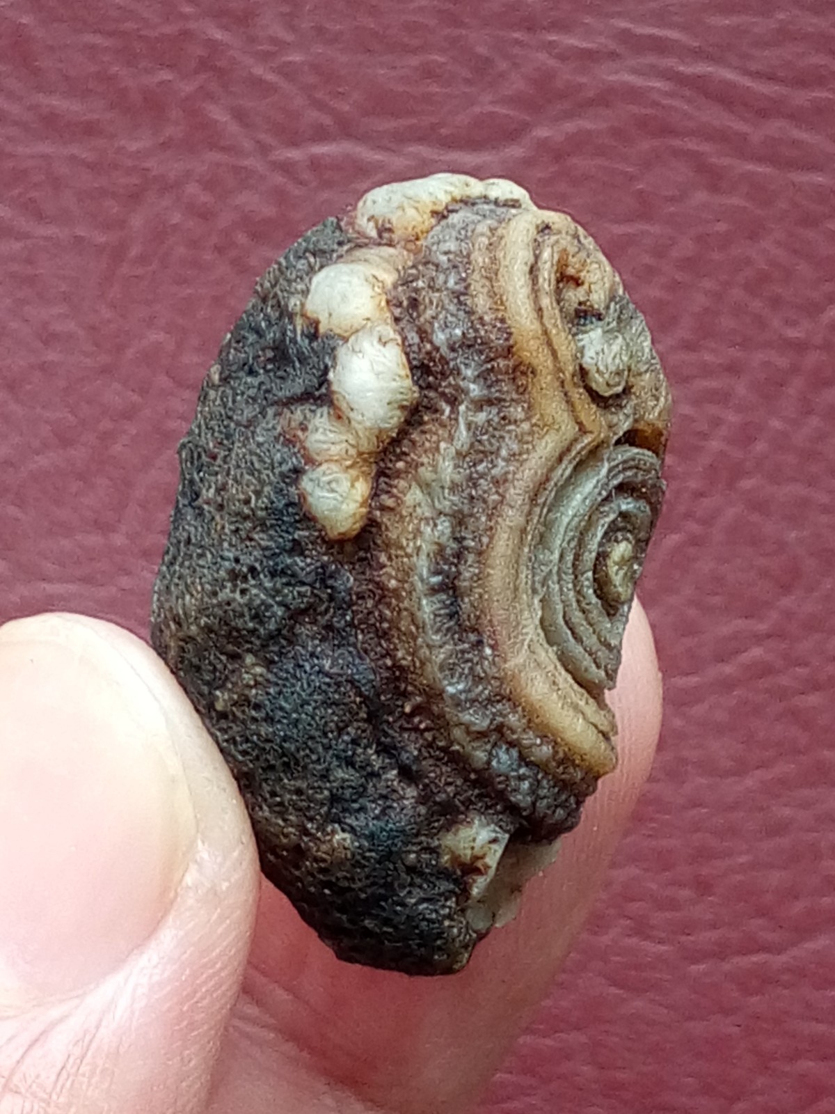 34mm Natural agate Gobi agate eye agate cute collection