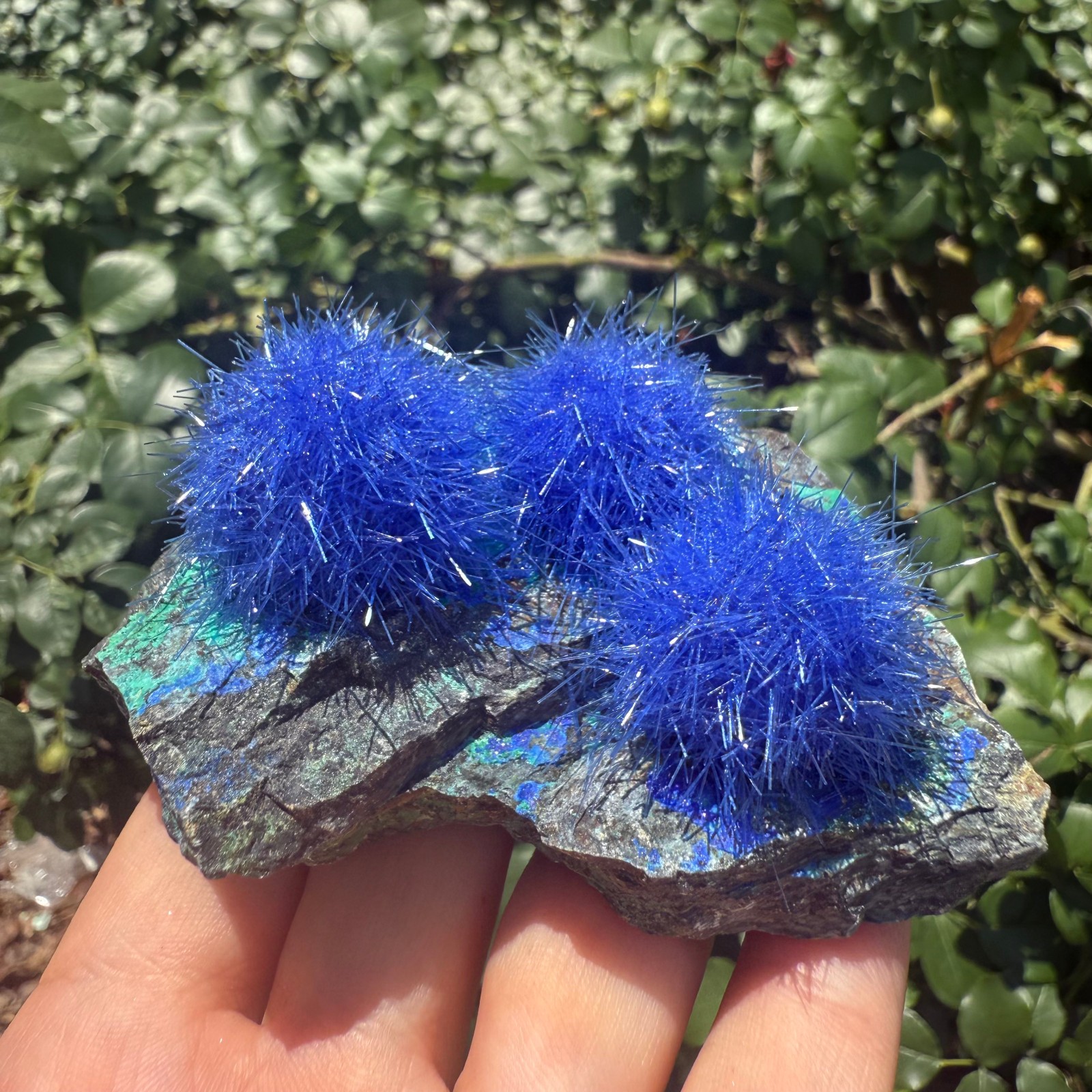 Raw Rough Dandelion Zeolite Cluster Blue Cave Quartz Crystal Specimen Decoration