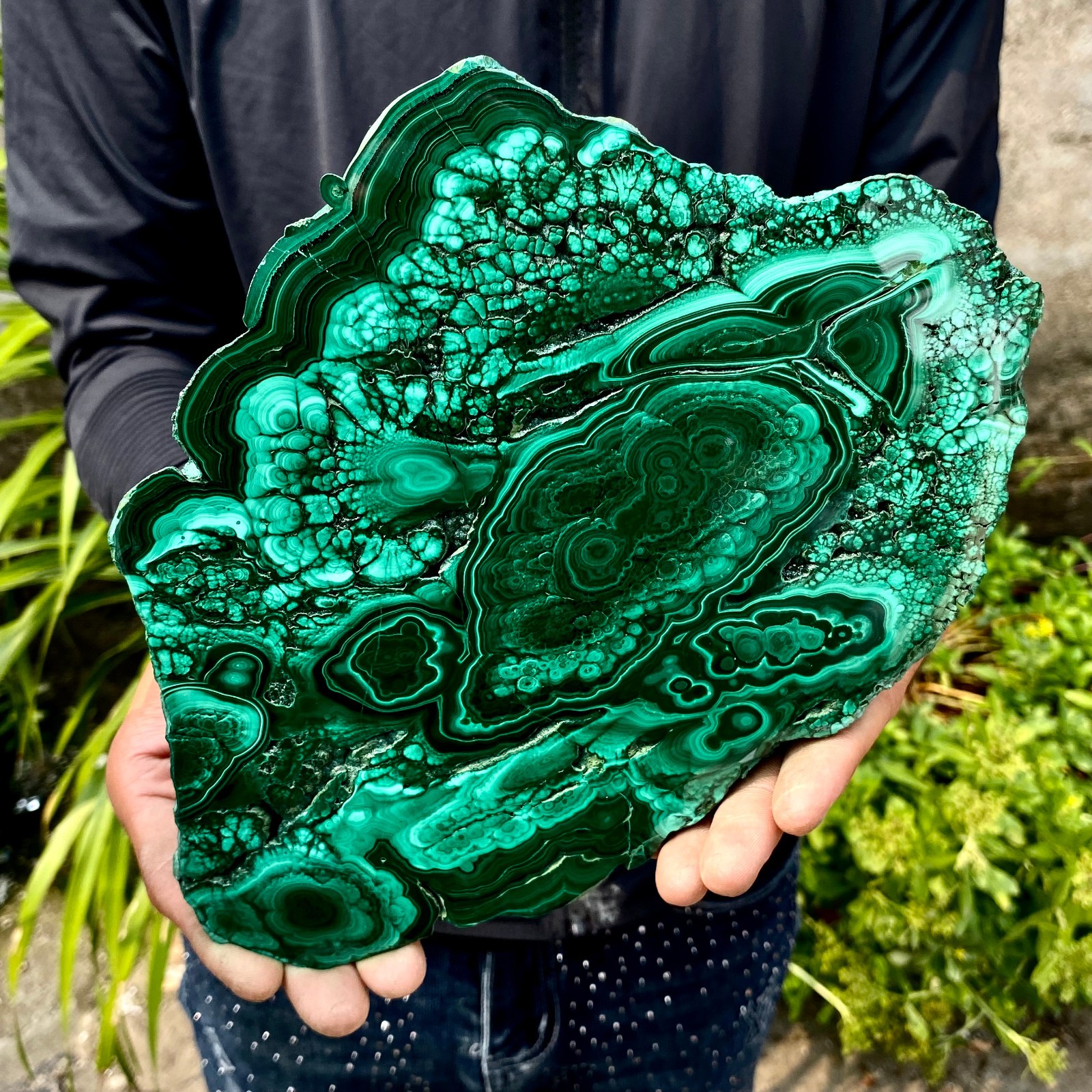 3.61LB Natural malachite slice quartz crystal luster mineral specimen