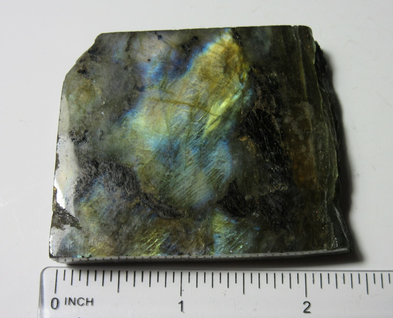 Labradorite Polished One Side/Natural the Other 2 5/16″ Collectible LS-1-8
