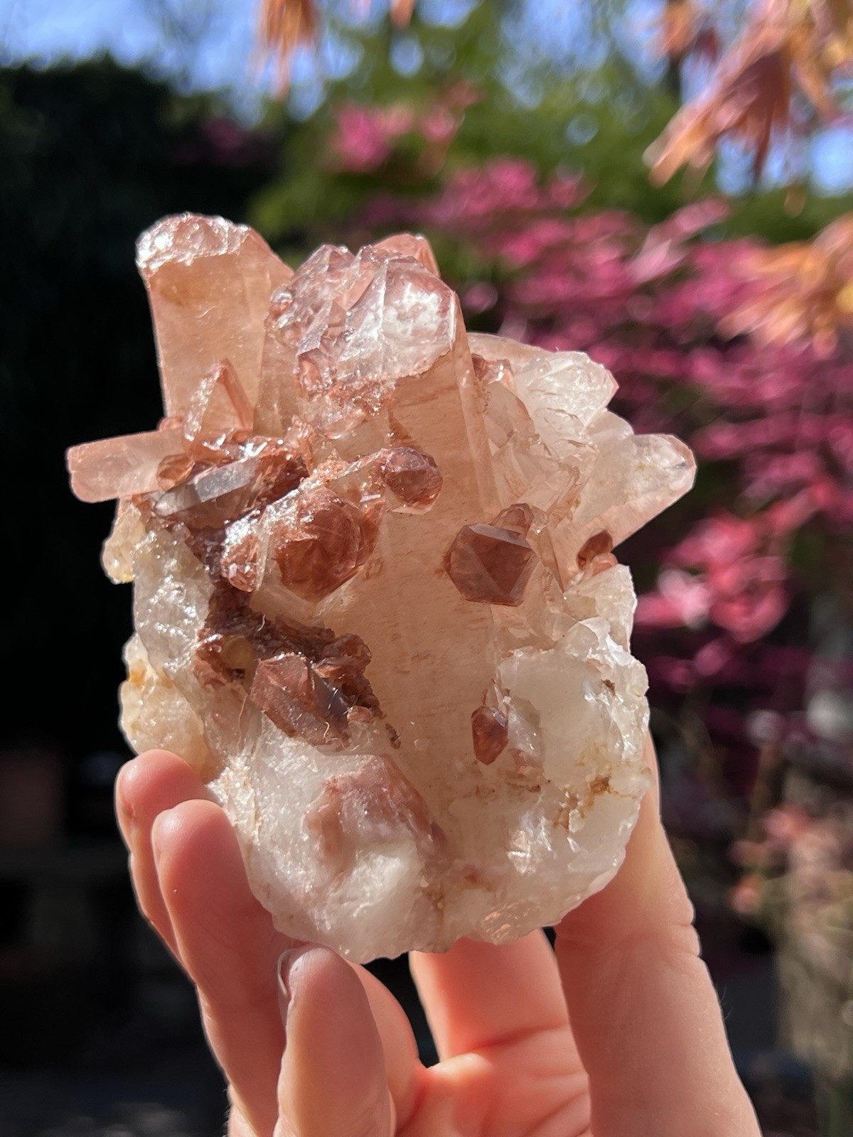 Lithium Quartz Large Cluster AAA+ : Master Healer Clarity 449g 7