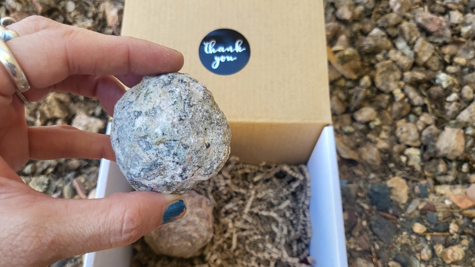 Break Your Own Geode Box Set Lapidary Crystals Rocks Thunder Egg Trancas Geode