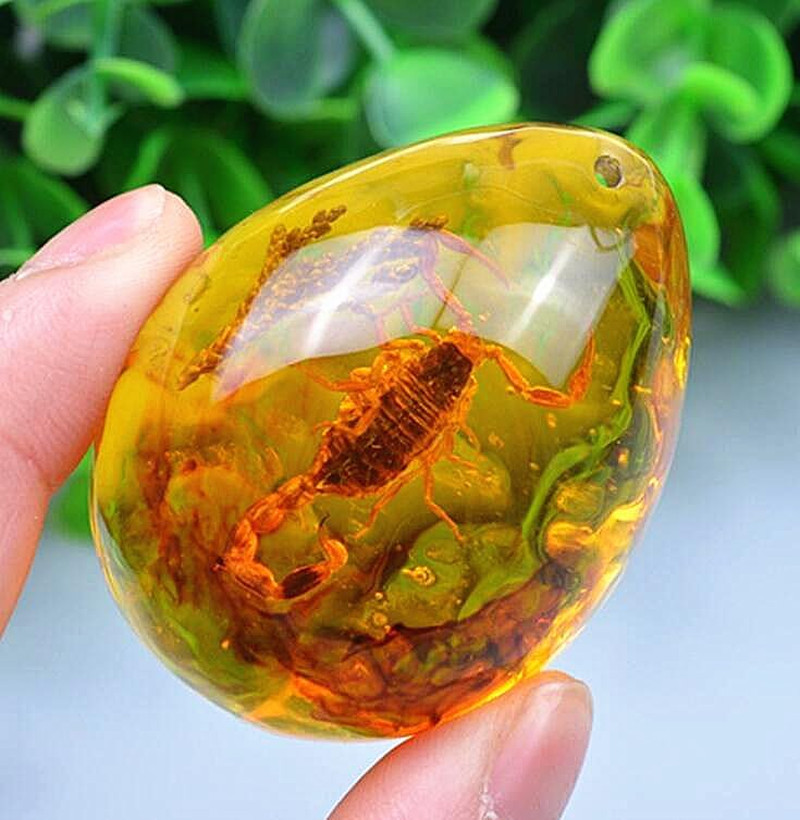 Resin Amber Insect Pendant Scorpion Fossil Stone Crystal Home