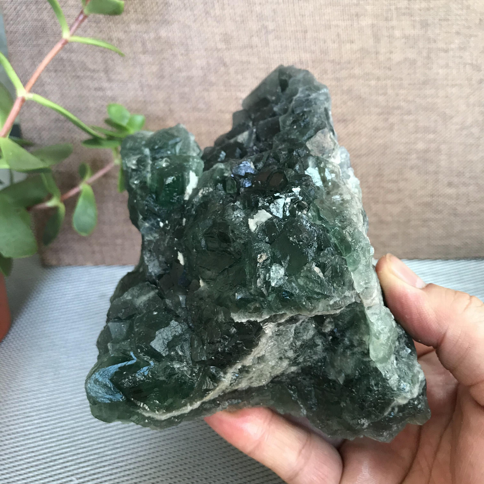 143mm NATURAL Green Cubic FLUORITE Crystal Cluster Mineral Specimen 1.58kg A1279