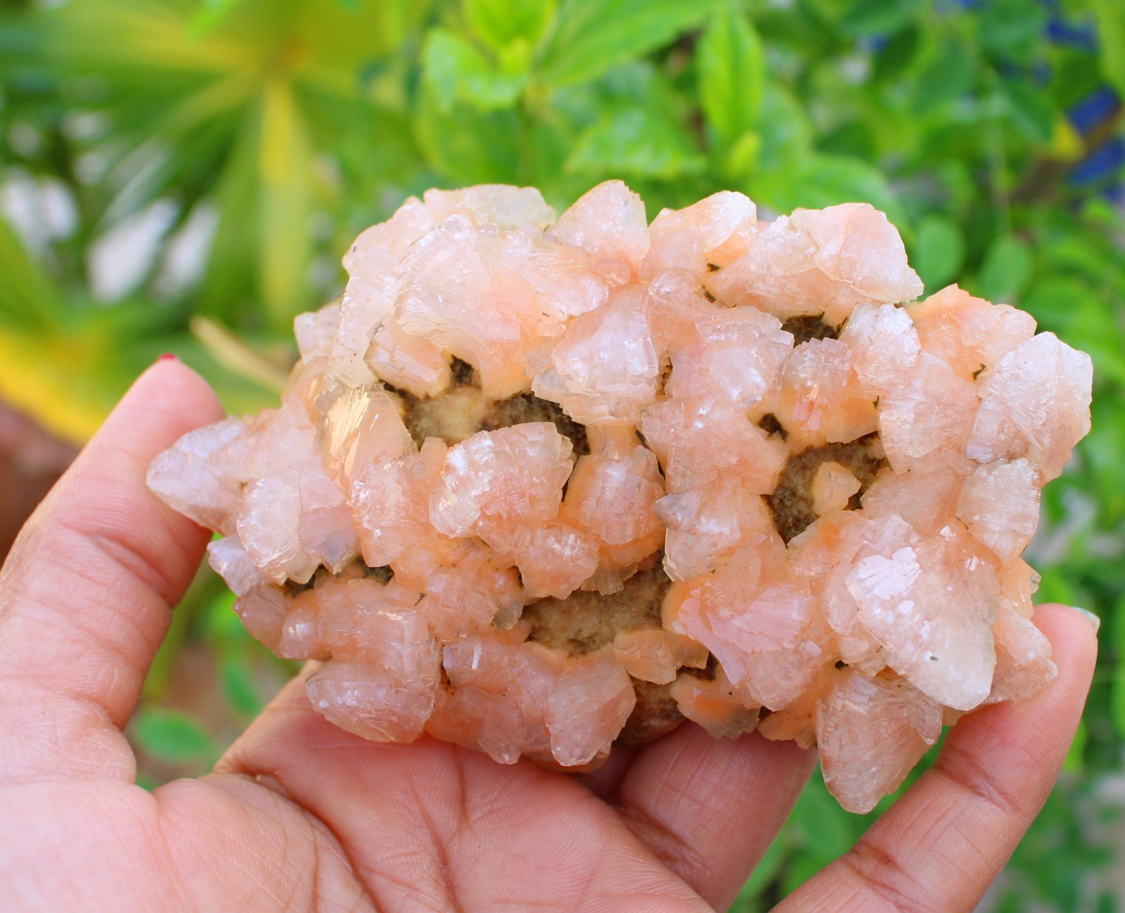 Orange Heulandite On Matrix Minerals Specimen #A46