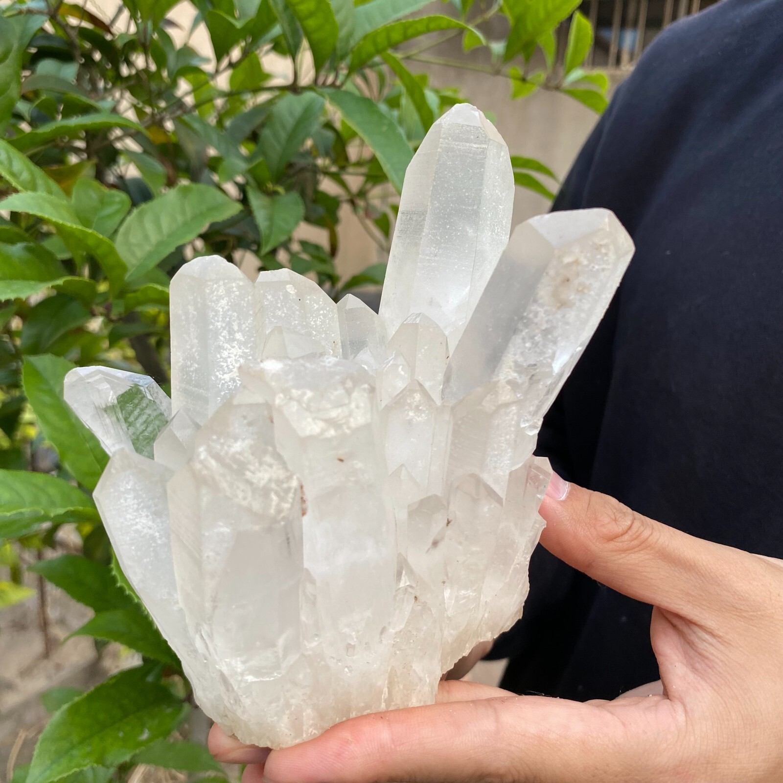 2.4lb Natural Clear White quart Crystal Cluster Raw Healing Specimen