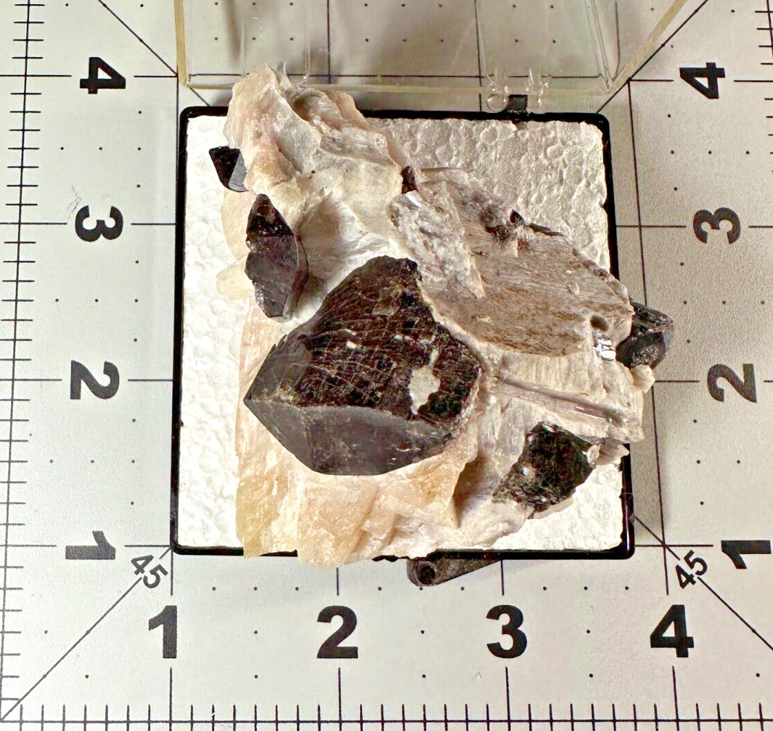 ➤2-3/4″ EDENITE CRYSTALS in CALCITE – Wilberforce Ontario Canada VIDEO➤598