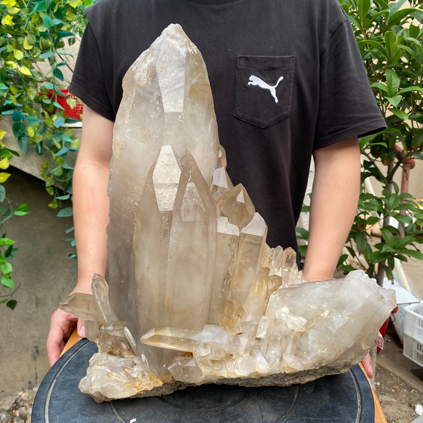 23900G A+Large Natural clear white Crystal Himalayan quartz cluster /mineralsls