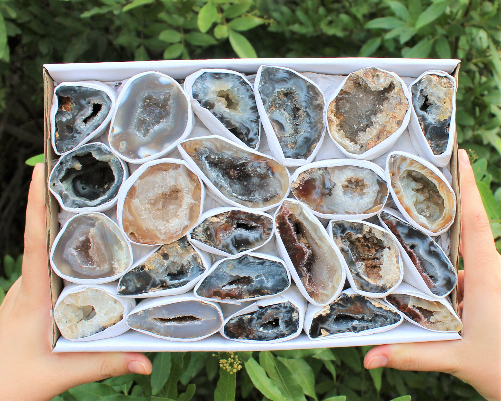 Large Oco Agate Geodes, Natural Crystal Druzy Halves: Choose How Many Pieces!