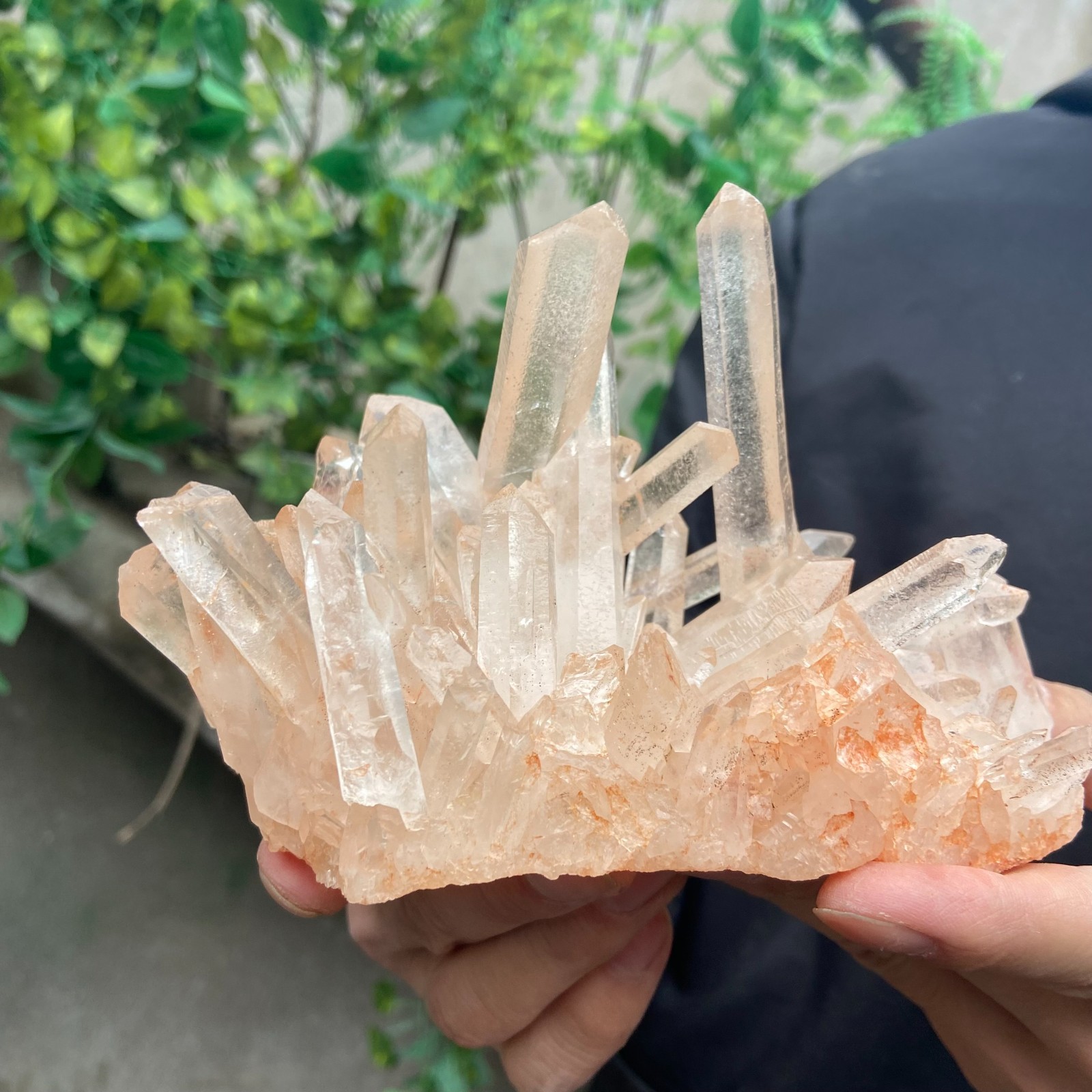 1.7lb Natural clear powder white quartz crystal cluster mineral specimen