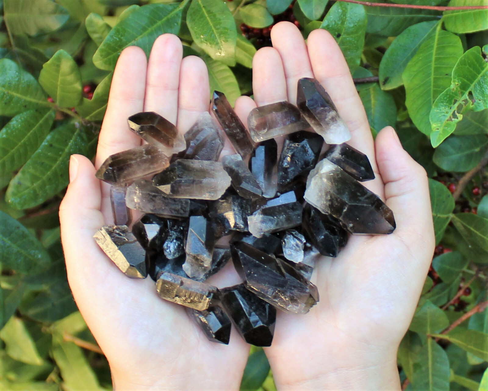1/2 lb Bulk Wholesale Mixed Smoky & Quartz Crystal Points, Natural Clear Smokey