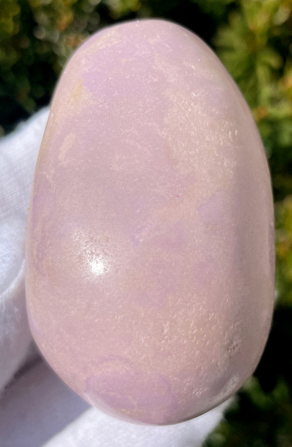 USA SALE SEE VIDEO 89g PHOSPHOSIDERITE PALMSTONES Palm Stone Stone