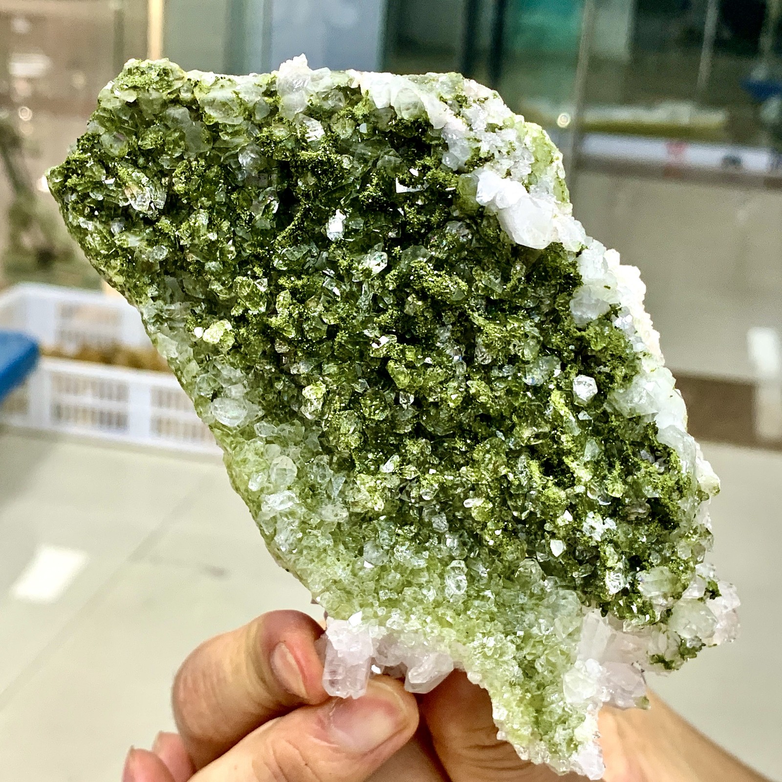 449G Natural green top-notch epidote quartz crystal minerals /Türkiye