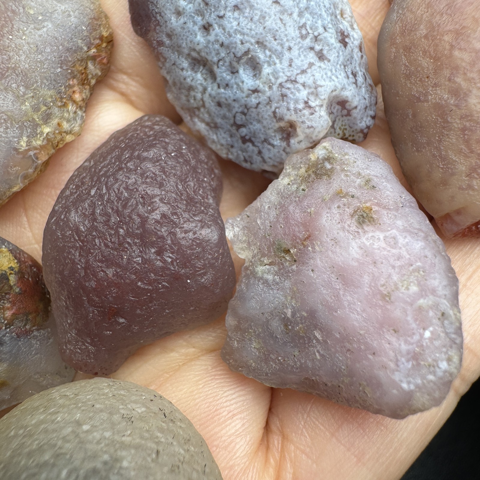 9pcs 133G Natural Alxa Gobi Sweet Candy Agate Set #6634