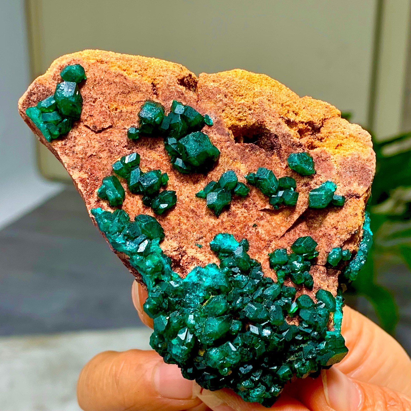 205G Natural Deep Green Grainy dioptase gemstone cluster mineral specimen