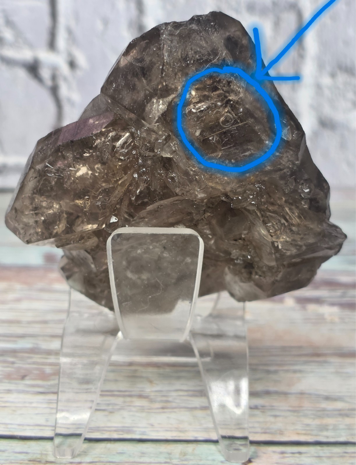 Natural Brazilian Smoky Enhydro Quartz Crystal Moving Bubble 207.63g Rare