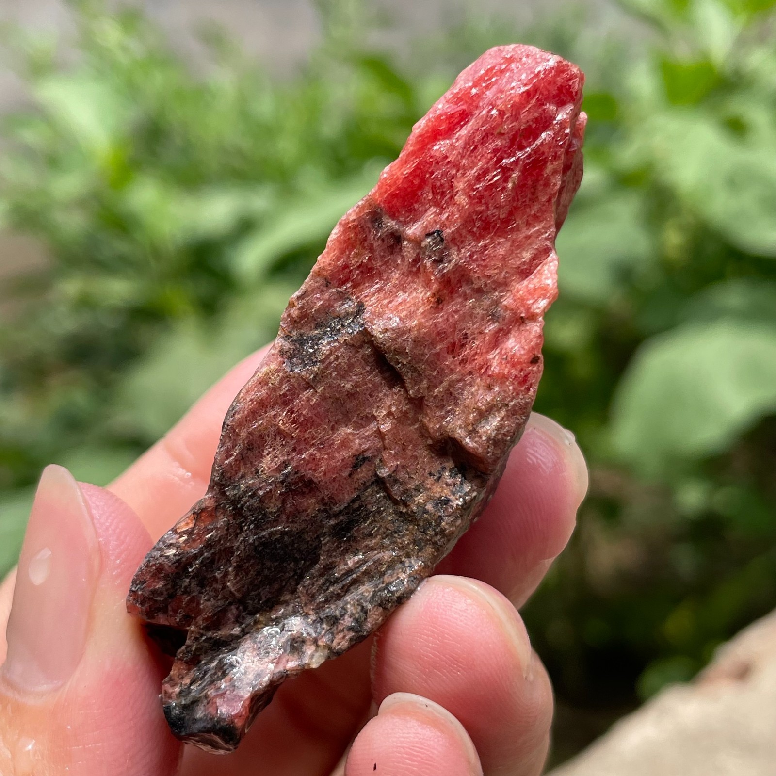 69g Small Raw Ore Red Black Rhodonite Quartz Gemstone Mineral Specimen
