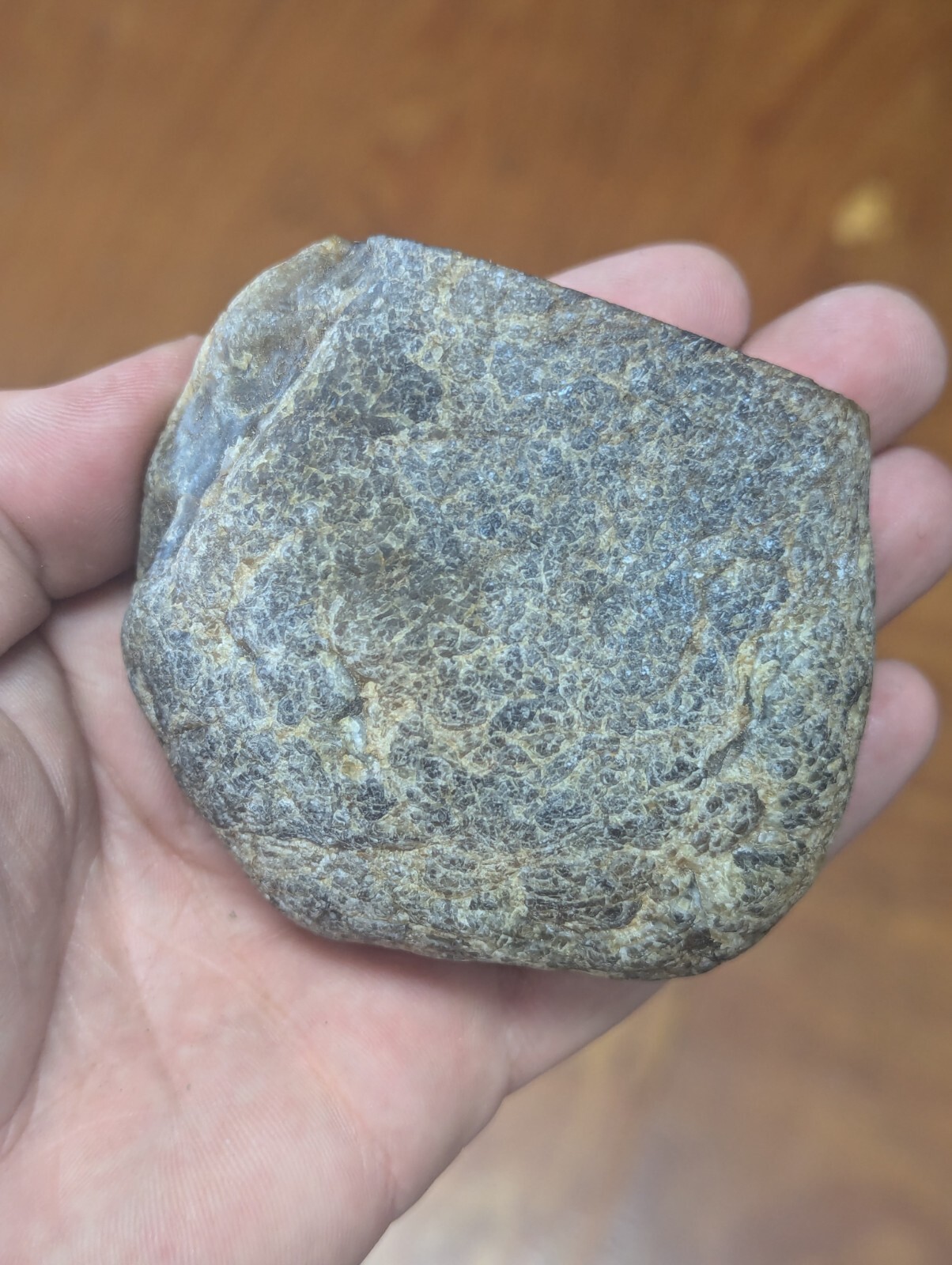 Large Montana Agate Rough Crystal Cut Window Nice Color 411g