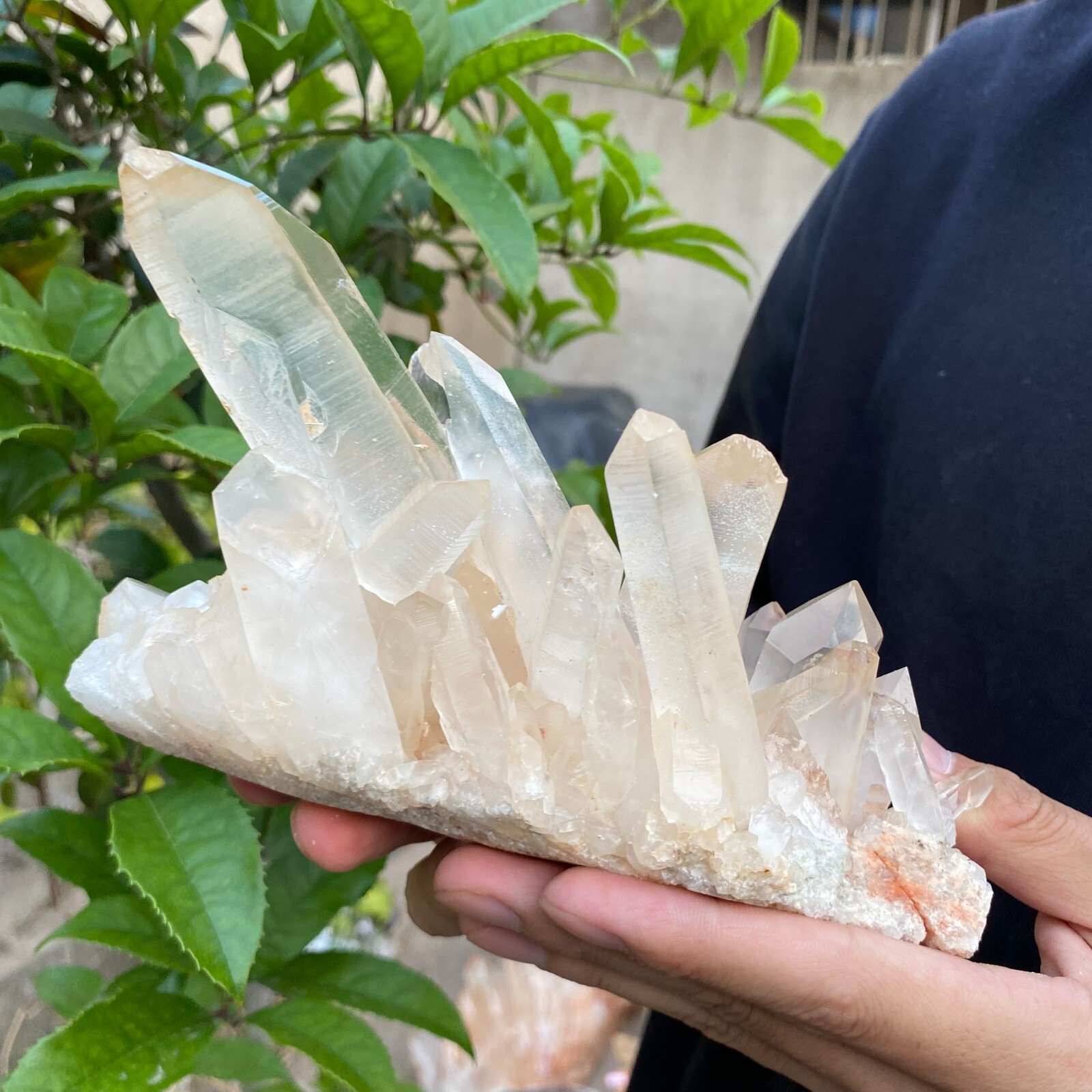 2lb Natural Clear White quart Crystal Cluster Raw Healing Specimen