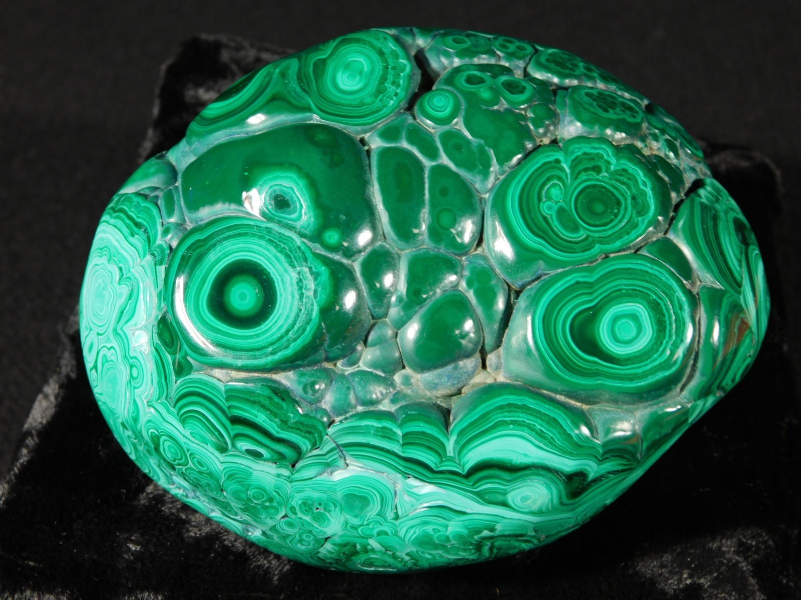 BIG! Polished Deep GREEN Malachite STALACTITE or Stalagmite w/Stand Congo 603gr